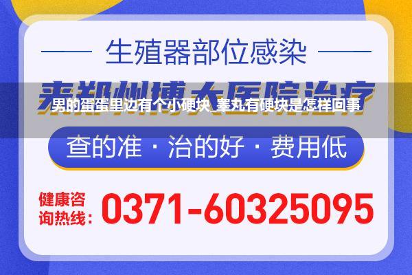 男的蛋蛋里边有个小硬块_睾丸有硬块是怎样回事