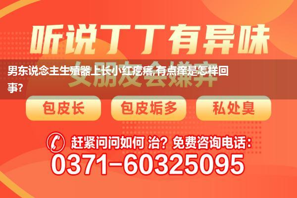 男东说念主生殖器上长小红疙瘩,有点痒是怎样回事?