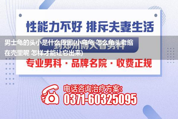 男士龟的头小是什么原因(小乌龟 怎么龟头老缩在壳里呢 怎样才能让它出来)