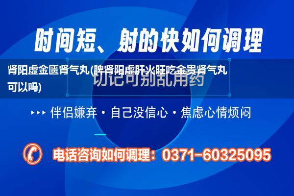 肾阳虚金匮肾气丸(脾肾阳虚肝火旺吃金贵肾气丸可以吗)